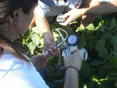 Toma de muestras de N2O usando cámaras estáticas y bomba de vacío manual en cultivo de soja. Carlos Casares.