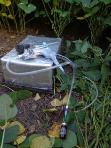 Cámaras de muestreo de N2O en cultivo de soja.